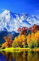 Без бренда «Осенний лес и вид на горы» в Ярославле