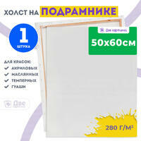 Без бренда «Холст Две картинки на подрамнике 50X60» в Ярославле