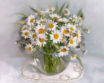 Без бренда «2KMA-0021» в Ярославле