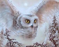 Без бренда «2KMB-3848» в Ярославле