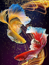 Без бренда «Желтая и красная рыбки» в Ярославле