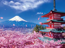 Без бренда «2KSB-7277» в Ярославле