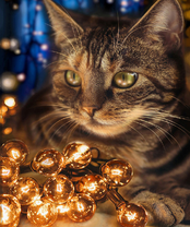 Без бренда «2KXSB-0678» в Ярославле