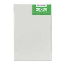 Без бренда «Коробка 80 шт.: Холст Две картинки на подрамнике 20X30» в Ярославле