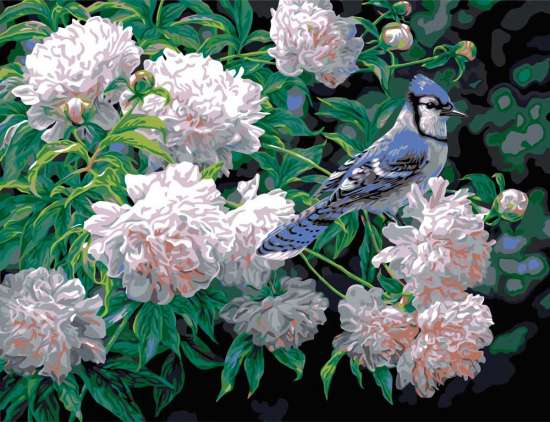 Картина по номерам 40x50 Птица в цветах пионах