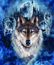 Без бренда «BOX40-2KXSB-0687» в Ярославле