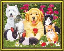 Щенки, котята и кролики на одной поляне