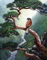 Снегирь высоко над землей