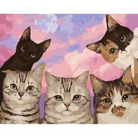 Без бренда «Такие разные котики» в Ярославле в интернет-магазине  Без бренда «Такие разные котики» в Ярославле