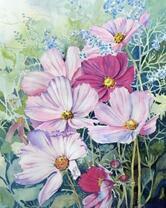 Полевые розовые цветочки