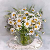 Без бренда «Букет свежих ромашек» в Ярославле