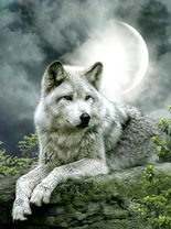 Без бренда «Коробка 25 шт. картин по номерам BOX25-GX21058» в Ярославле