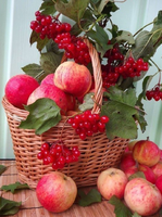 Без бренда «Коробка 25 шт. картин по номерам BOX25-GX5174» в Ярославле