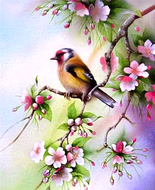 Картина по номерам 40x50 Красивая птица на цветущей сакуре