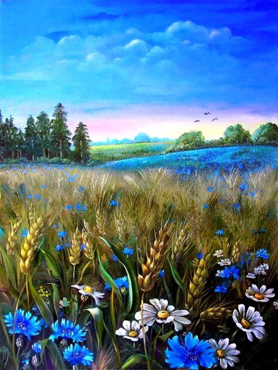 Картина по номерам 40x50 Пшеничное поле и полевые цветочки