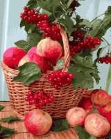 Без бренда «Плетёная корзина с калиной и яблоками» в Ярославле