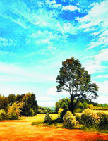 Без бренда «Осенний пейзаж с голубым небом» в Ярославле в интернет-магазине  Без бренда «Осенний пейзаж с голубым небом» в Ярославле