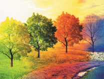 Смена времен года