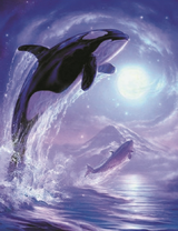 Касатки на фоне полной луны