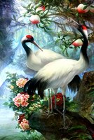 Без бренда «Коробка 25 шт. картин по номерам BOX25-GX29399» в Ярославле в интернет-магазине  Без бренда «Коробка 25 шт. картин по номерам BOX25-GX29399» в Ярославле