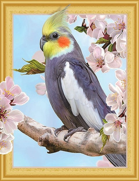 Алмазная мозаика 5D 40x50 Красивый попугайчик на ветке цветущей яблони