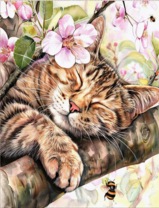 Без бренда «Волосатый котик спит на ветви яблони» в Ярославле в интернет-магазине  Без бренда «Волосатый котик спит на ветви яблони» в Ярославле